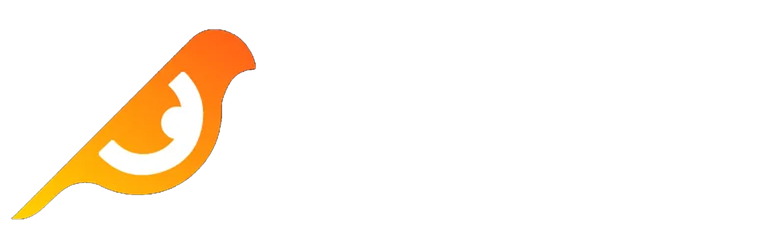 birtdeye